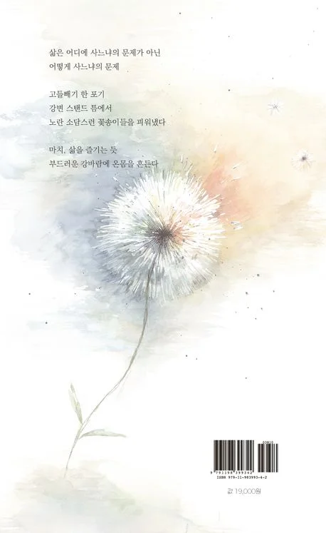 뒷표지 — 민들레 수채화 일러스트